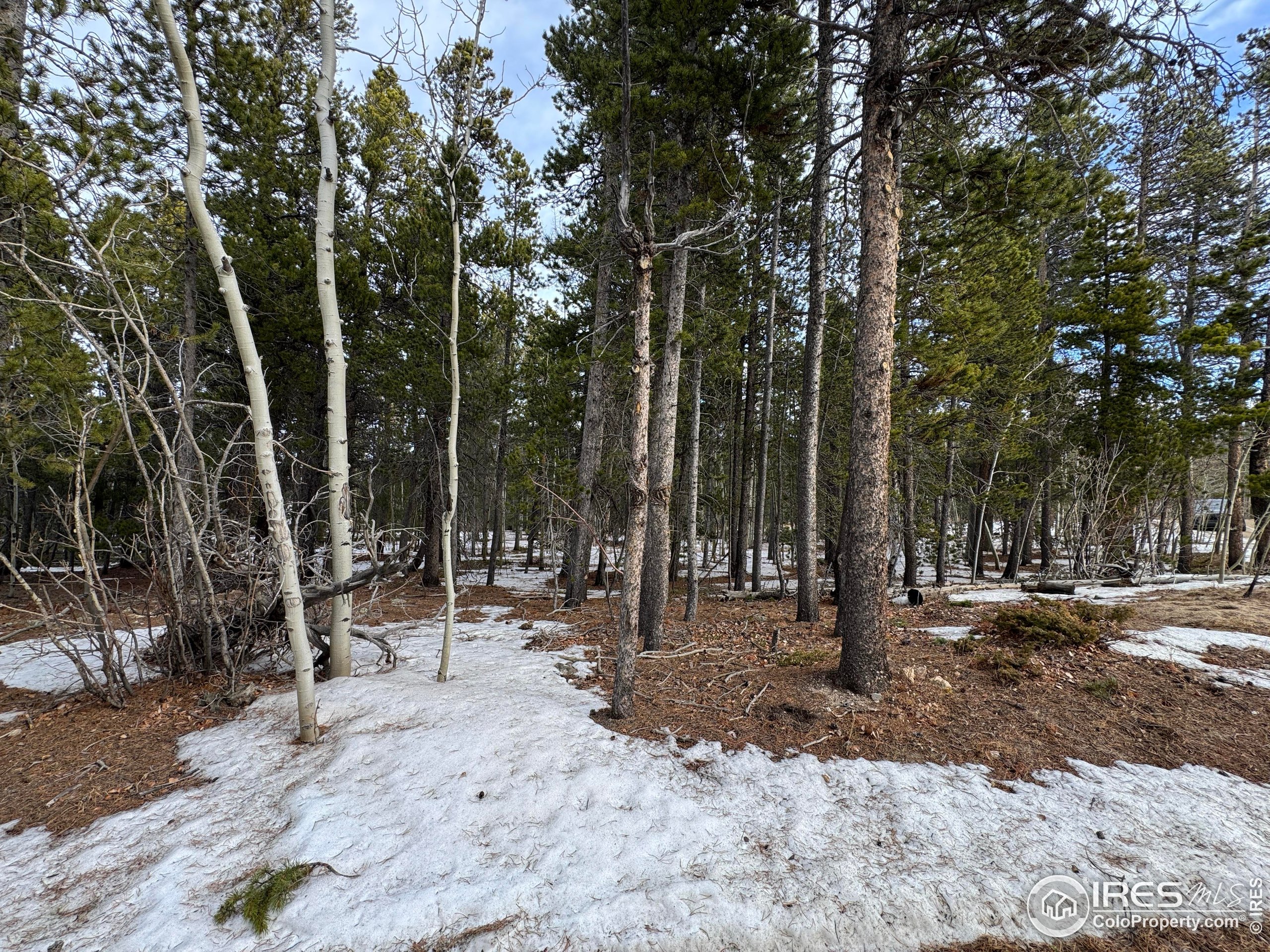 121 Aurora Road Black Hawk, CO 80422 - Photo 7 of 18