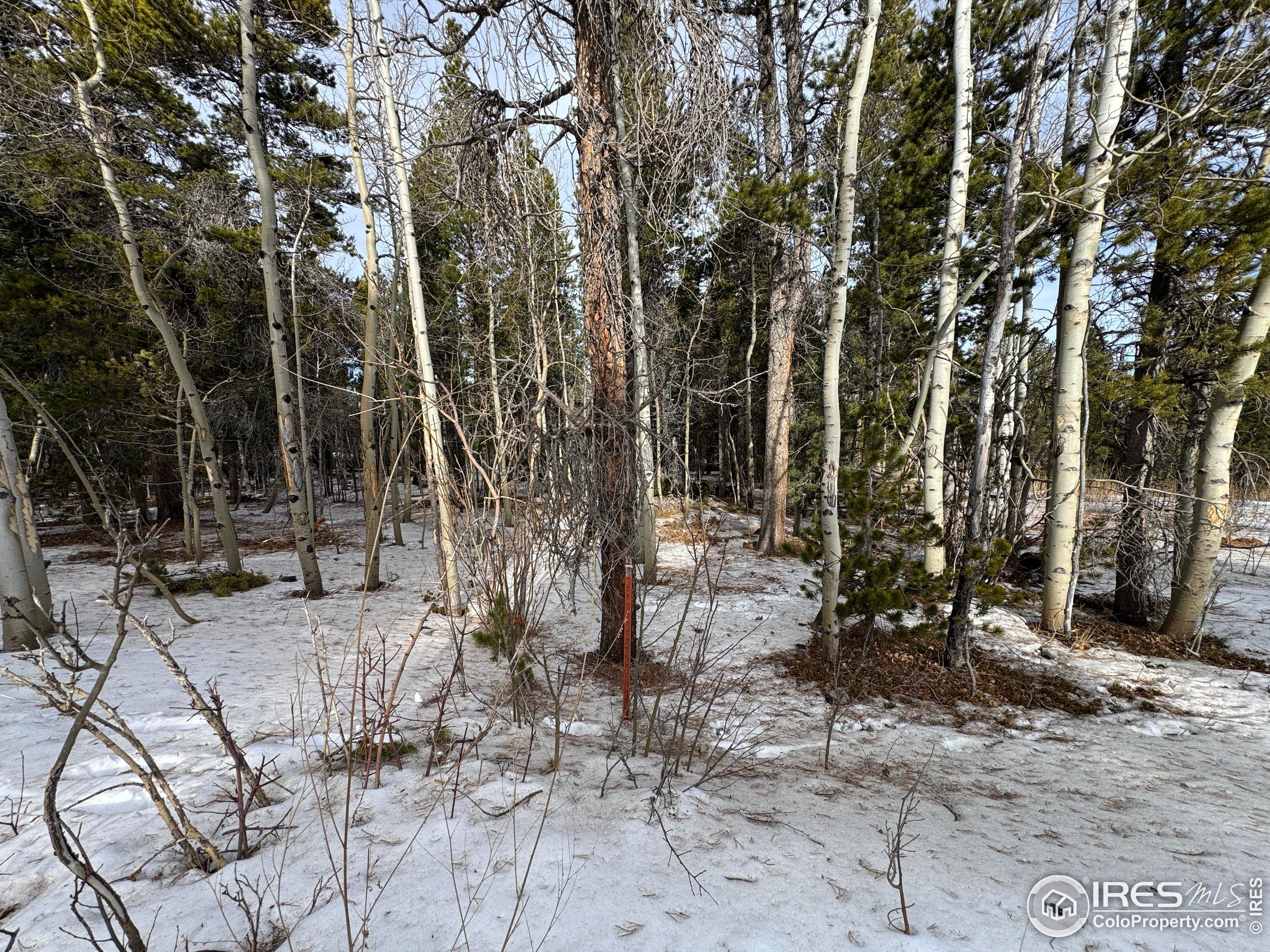121 Aurora Road Black Hawk, CO 80422 - Photo 9 of 18
