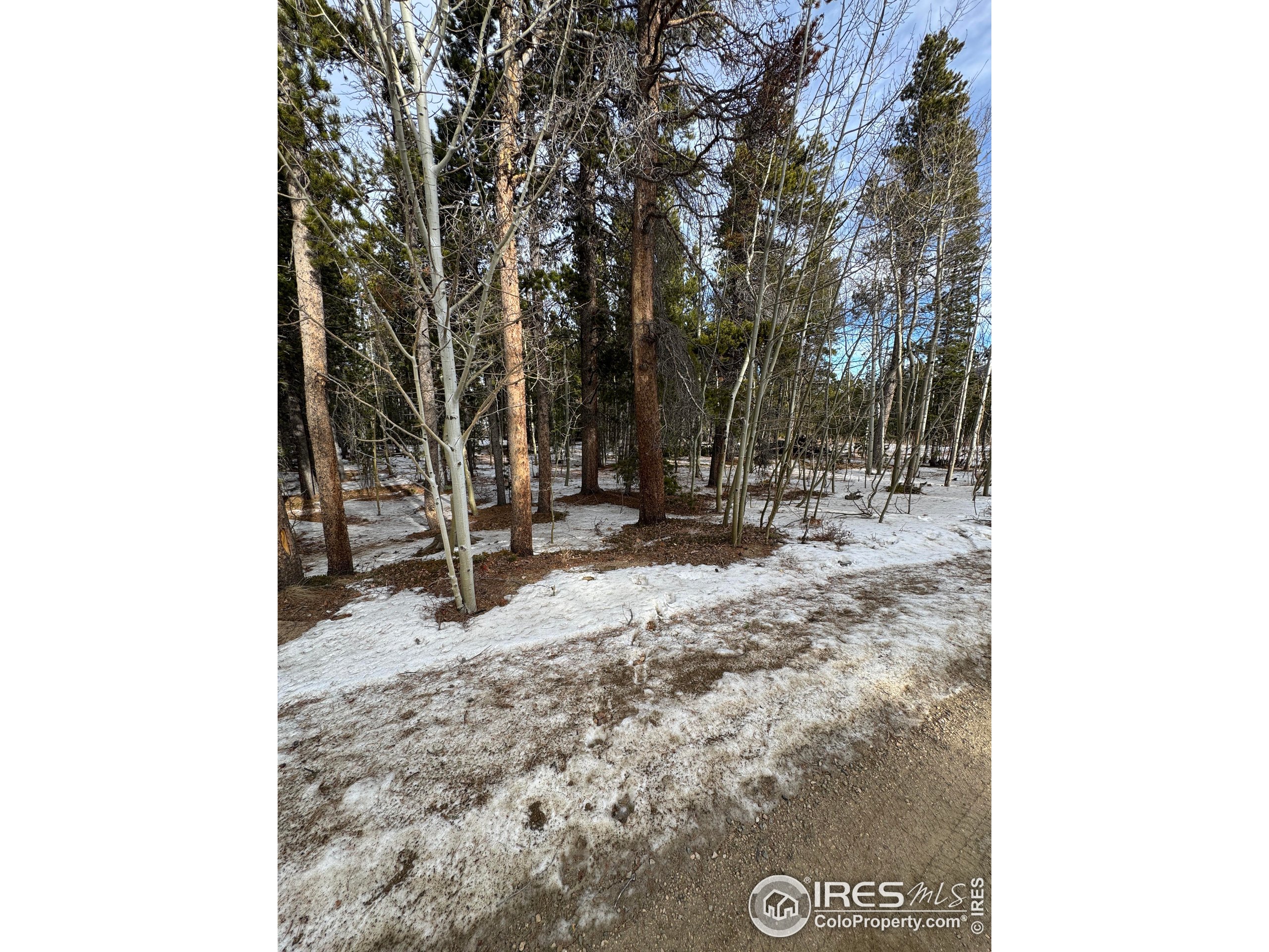 121 Aurora Road Black Hawk, CO 80422 - Photo 10 of 18