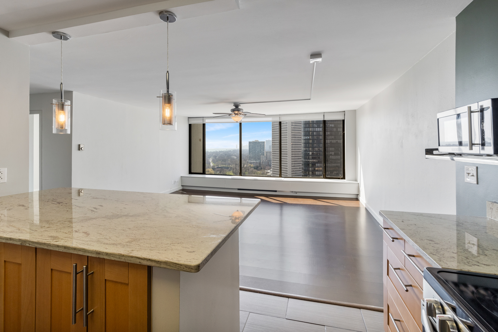 5455 North Sheridan Road, Unit 2204 Chicago, IL 60640 - Photo 3 of 18 Gallery Image 3