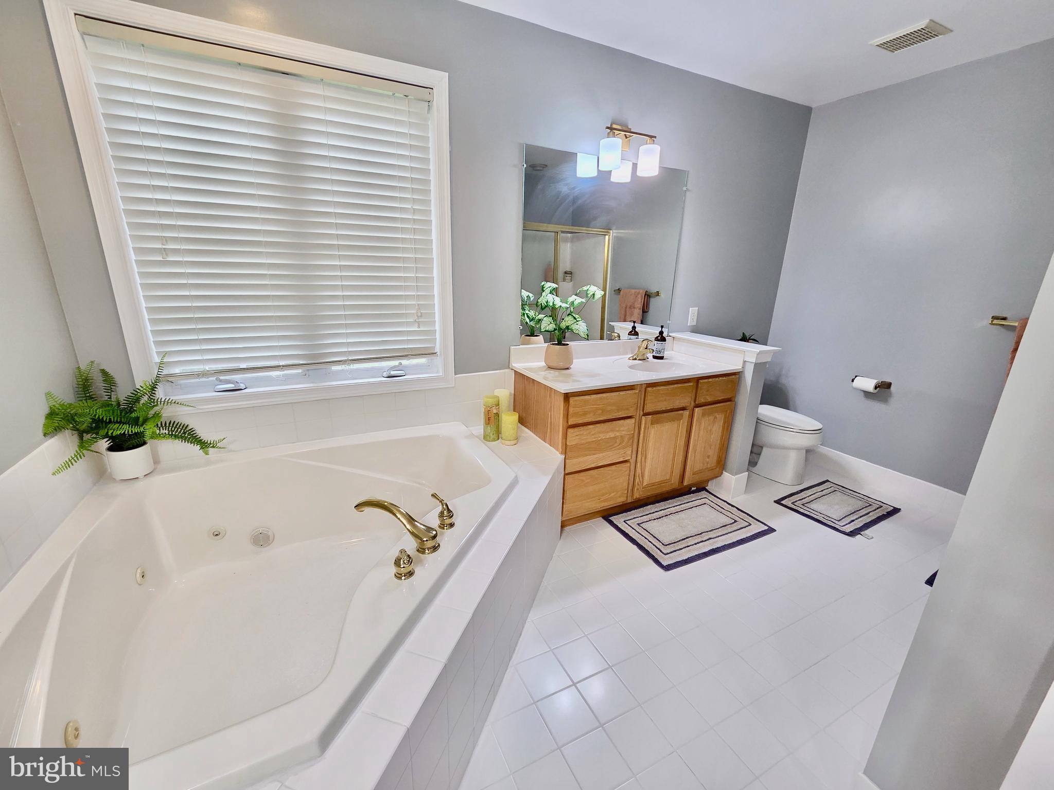 261 Lenni Road Media, PA 19063 - Photo 28 of 46 Primary bath w jetted tub and double stall shower
