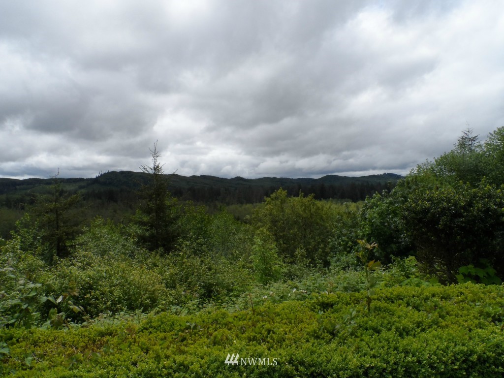 192 Clemons Road Montesano, WA 98563 - Photo 6 of 24 Gallery Image 6