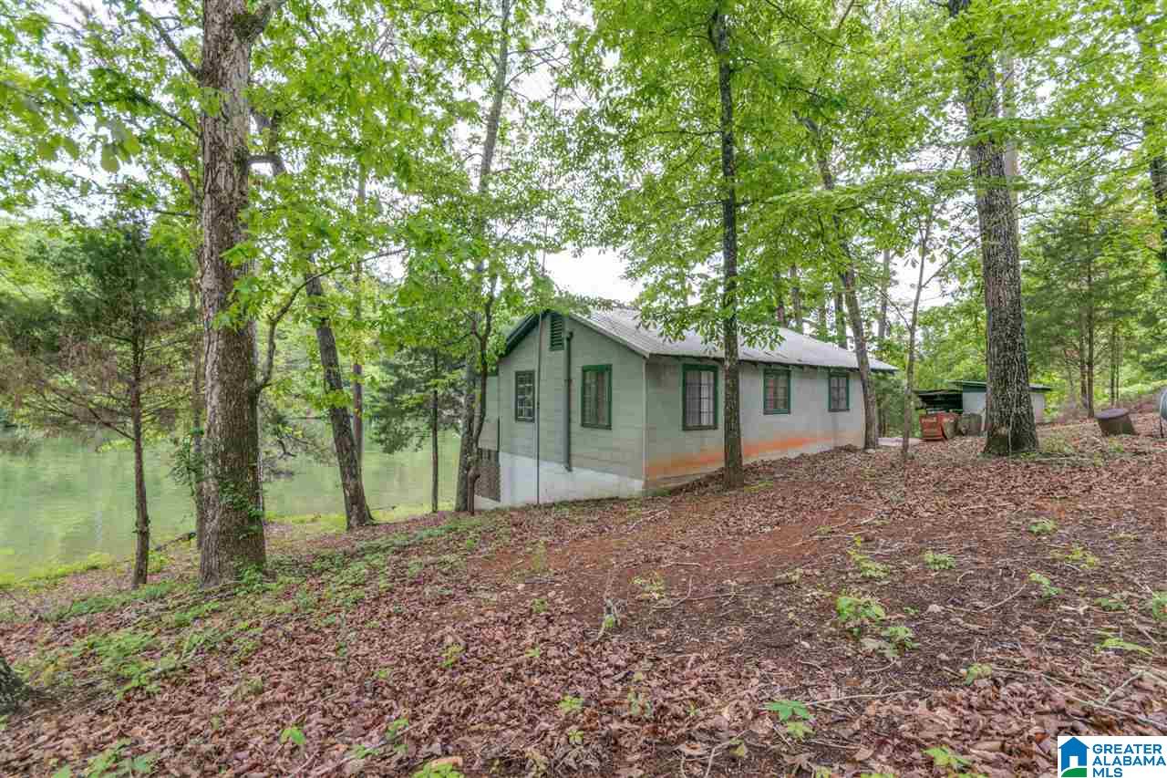 1631 County Road 485 Clanton, AL 35046 - Photo 13 of 15