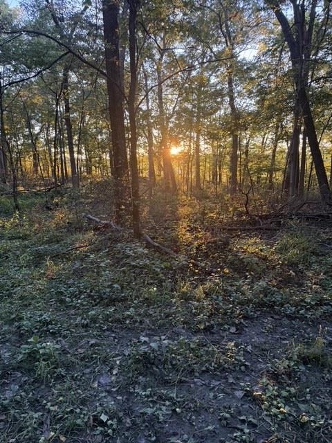 0 South County Rd H Orfordville, WI 53576 - Photo 17 of 32 Gallery Image 17