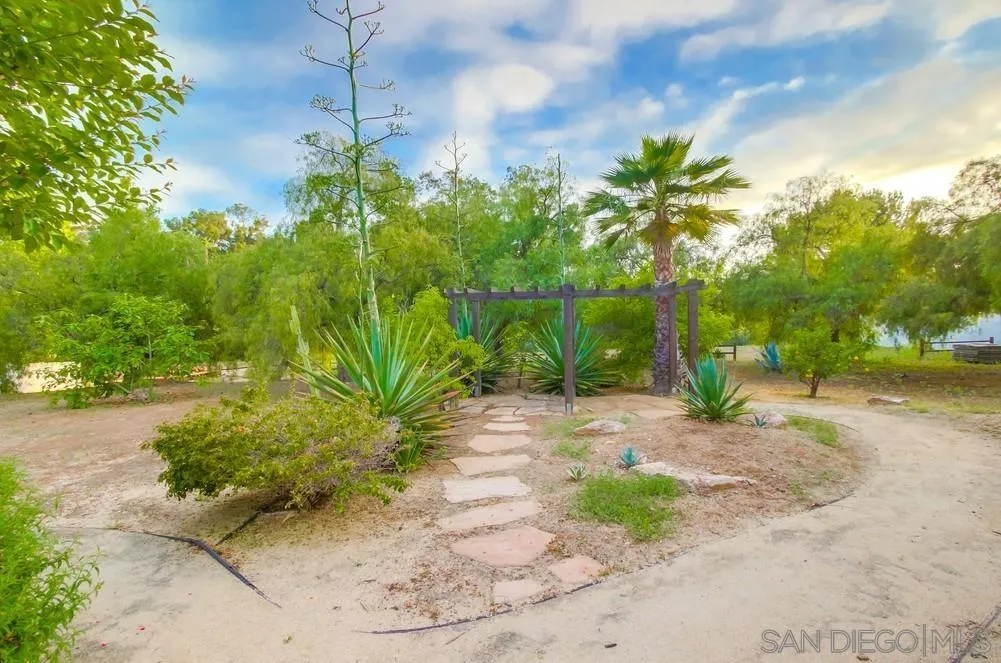 16052 Country Day Road Poway, CA 92064 - Photo 61 of 75 a view of a yard with plants and trees