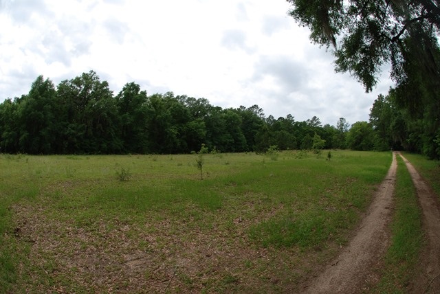 Lot 10 Reynolds Road Quincy, FL 32351 - Photo 11 of 21 Gallery Image 11