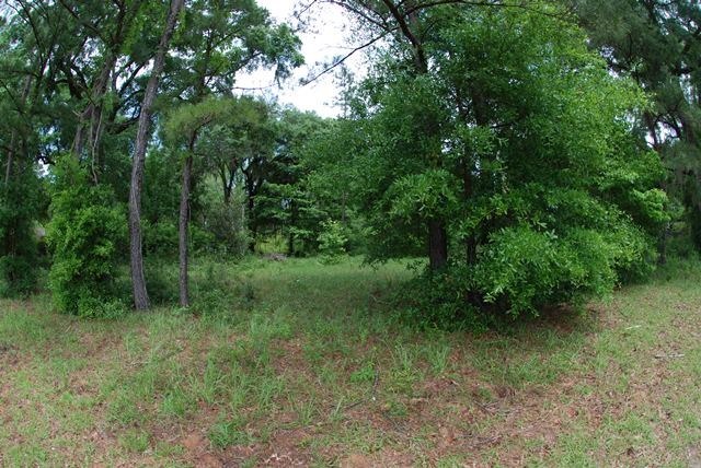 Lot 10 Reynolds Road Quincy, FL 32351 - Photo 14 of 21 Gallery Image 14