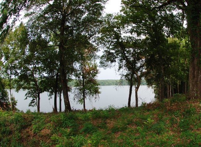 Lot 10 Reynolds Road Quincy, FL 32351 - Photo 20 of 21 Gallery Image 20