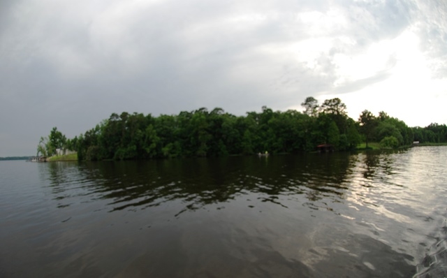 Lot 10 Reynolds Road Quincy, FL 32351 - Photo 8 of 21 Gallery Image 8