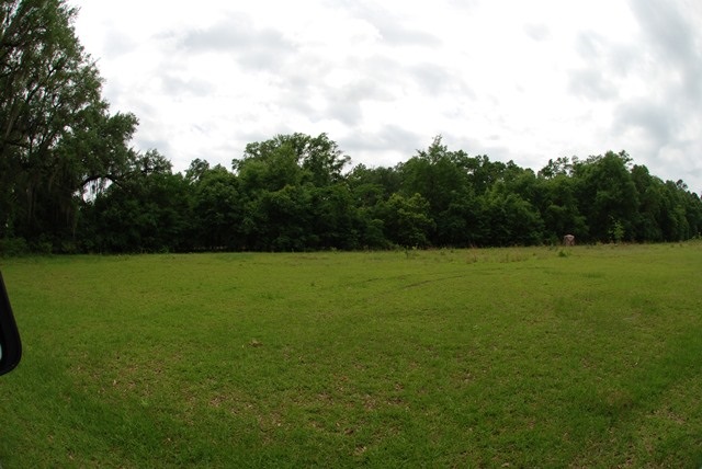 Lot 10 Reynolds Road Quincy, FL 32351 - Photo 10 of 21 Gallery Image 10