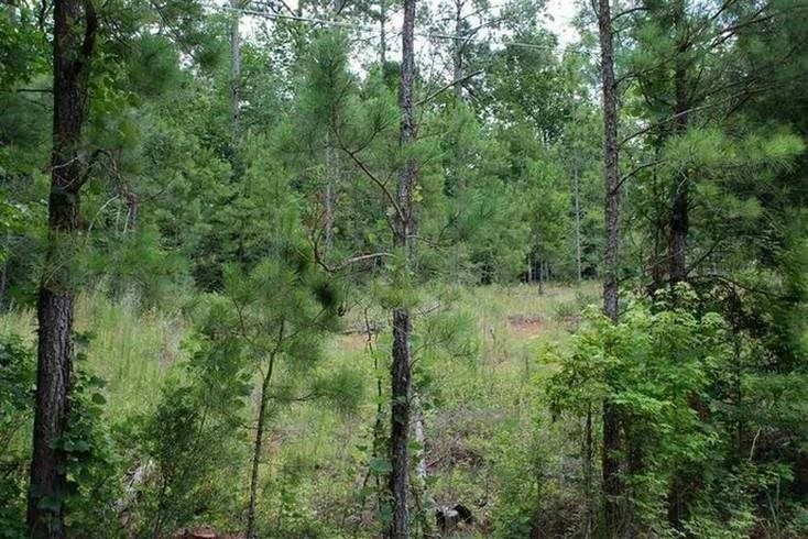 1.15-ac Sandy Landing Road Andalusia, AL 36421 - Photo 2 of 6 Gallery Image 2