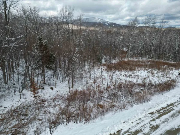 $95,000 | 41 Moose Hollow Road, Winhall, VT 05340