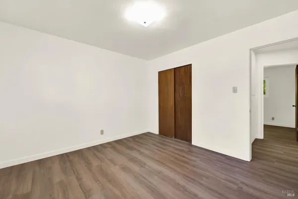 a view of a park with large trees