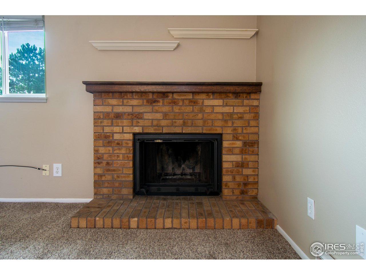 1024 East Swallow Road, Unit 233 Fort Collins, CO 80525 - Photo 6 of 18 Fireplace