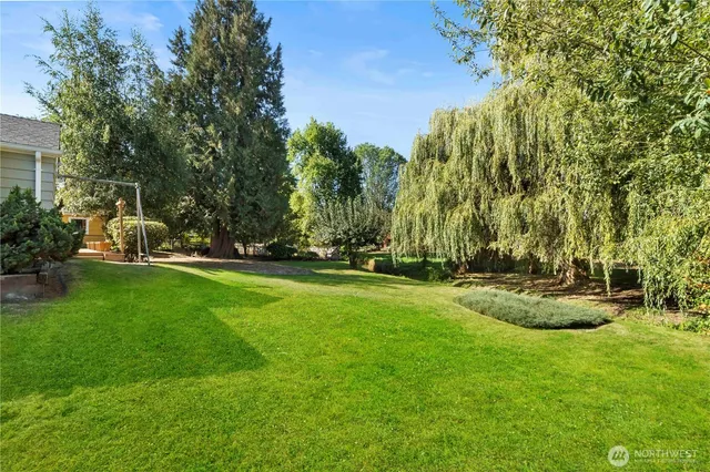 a view of a park with large trees