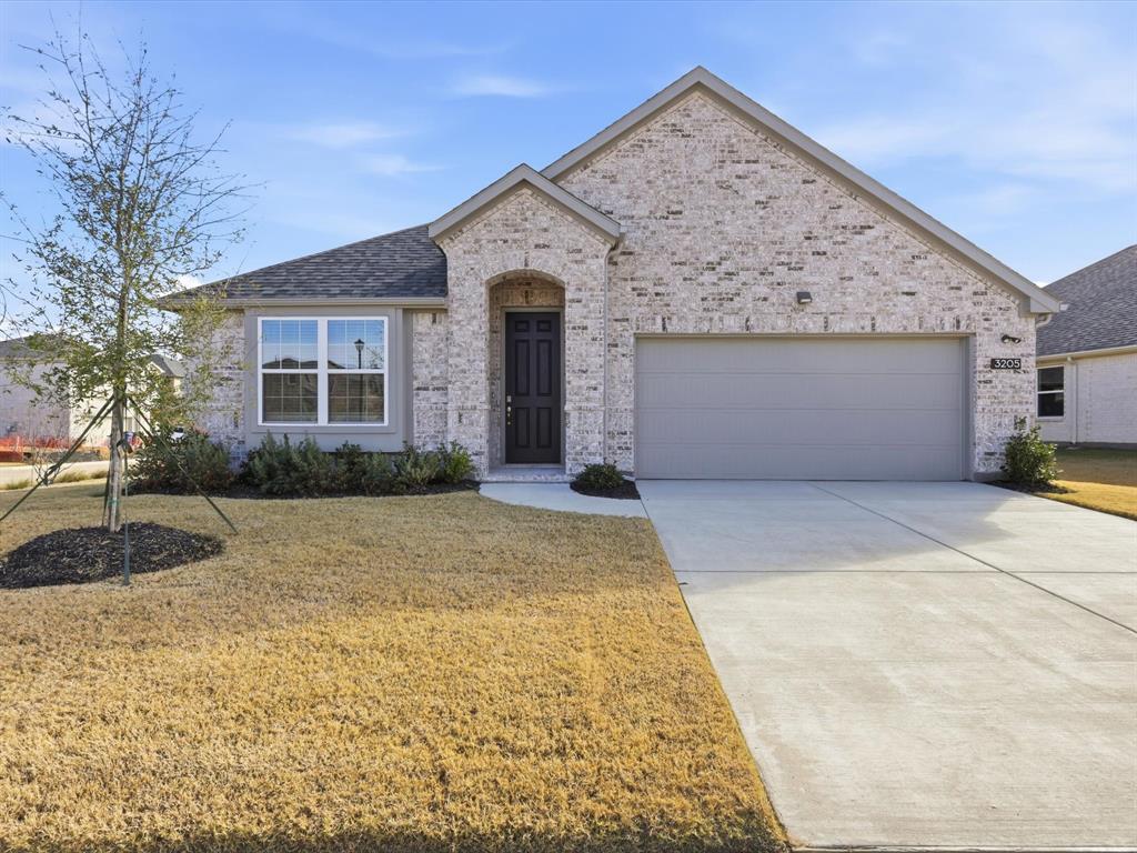 3205 Giovanni Point Princeton, TX 75407 - Photo 1 of 19 Corner Lot