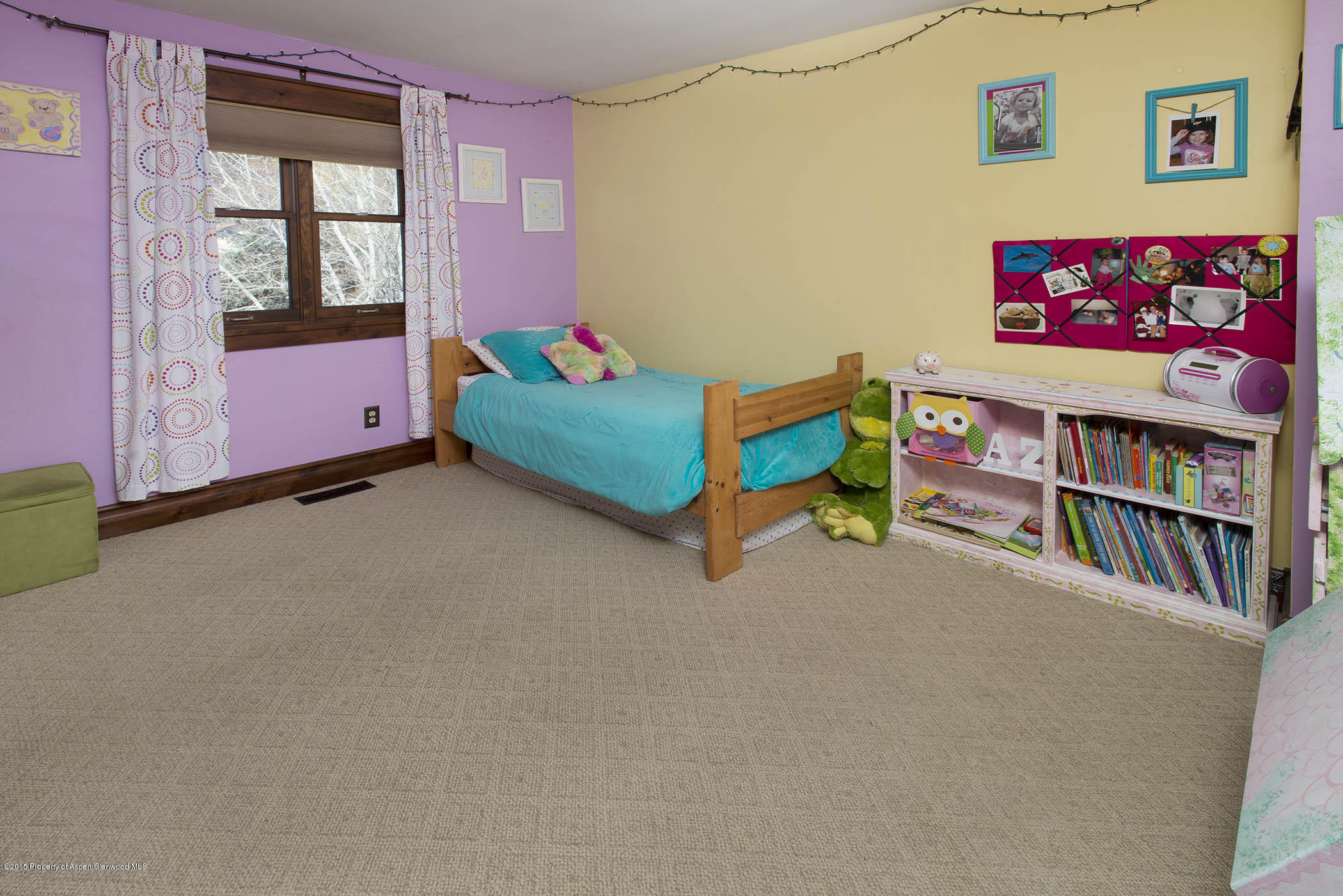 45 Rabbit Road Carbondale, CO 81623 - Photo 4 of 8 AIP_6259