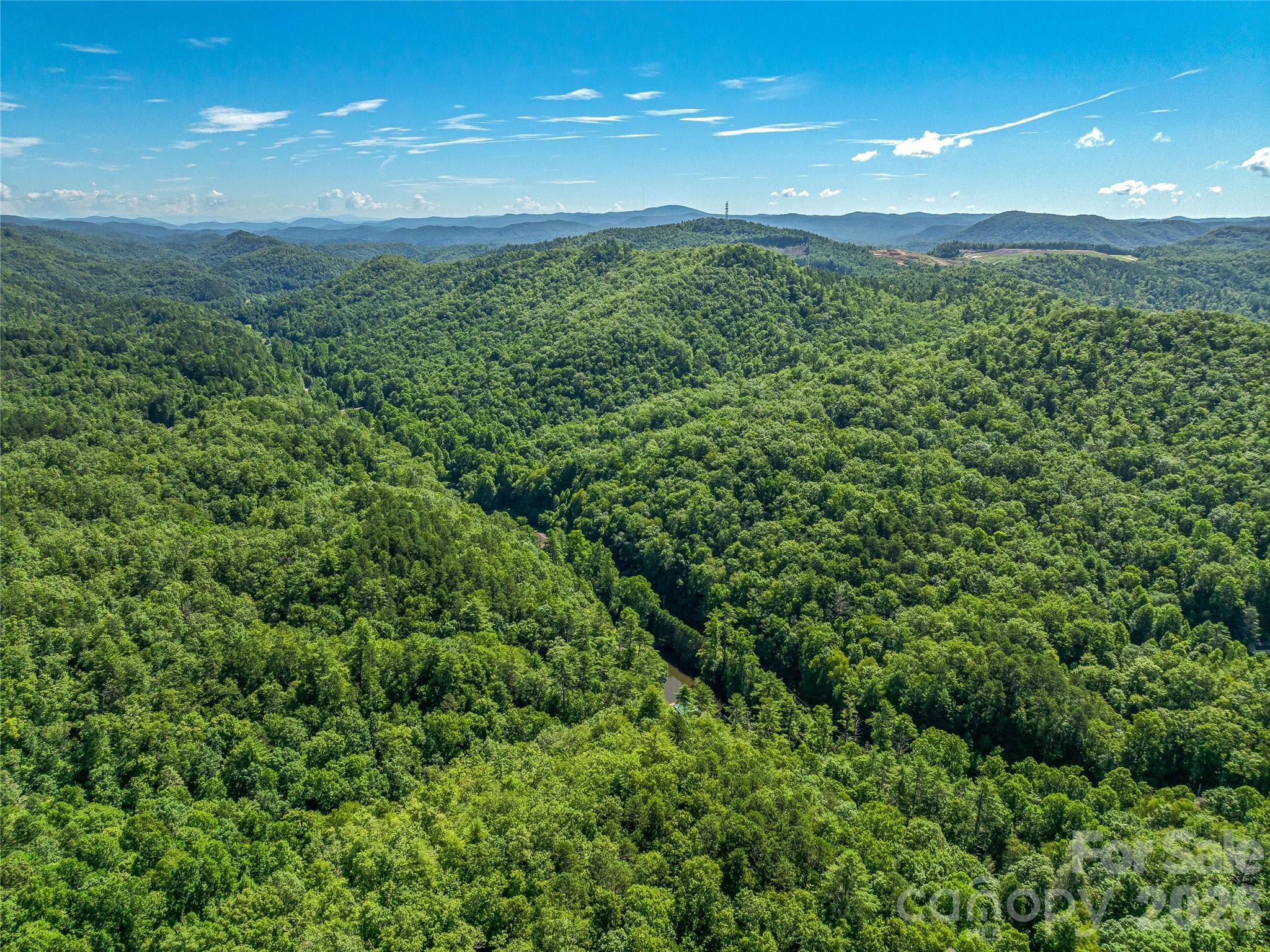 0 Frozen Creek Road Brevard, NC 28712 - Photo 30 of 35 Gallery Image 30