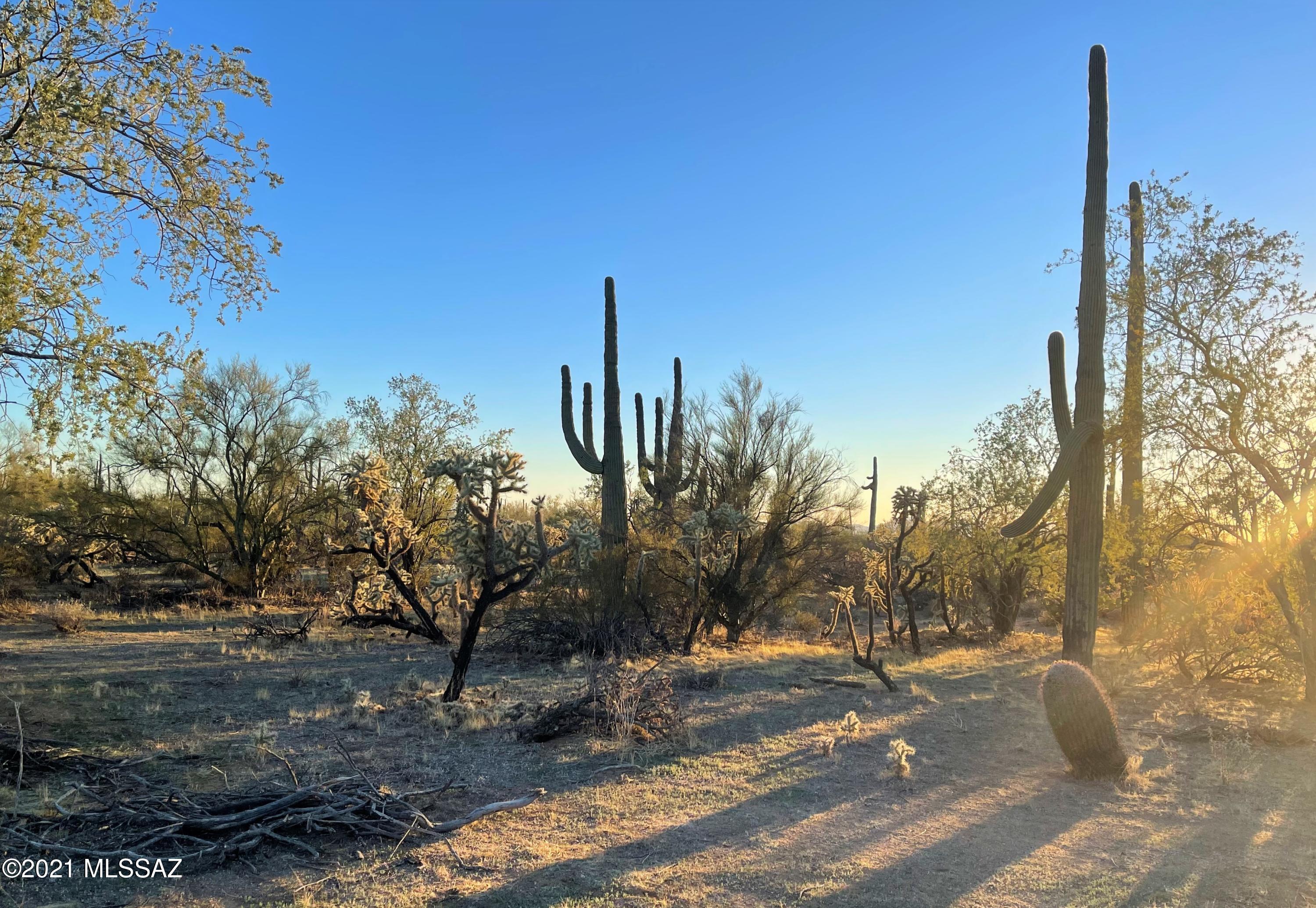 South Cattle Tank Road, Unit 20 Marana, AZ 85658 - Photo 18 of 20