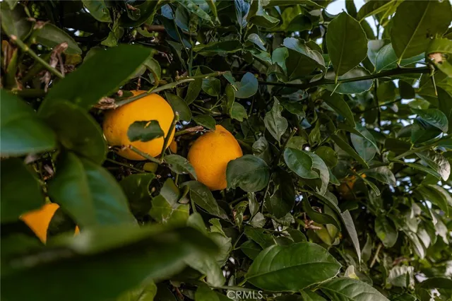 a picture of city view