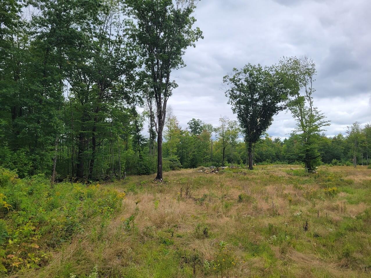 0 Heath Road Lebanon, ME 04027 - Photo 15 of 19 20220907_113659