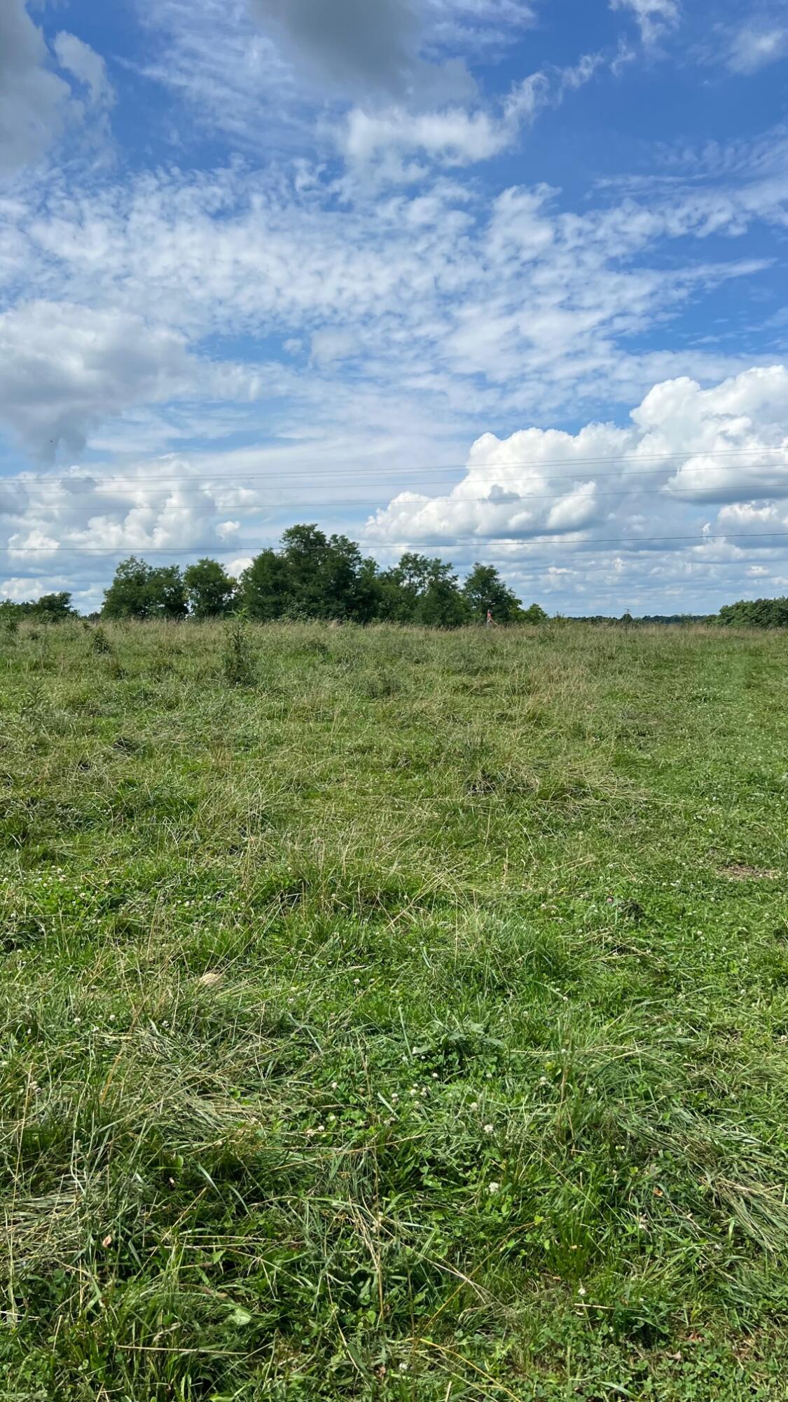 0 Napoleon-Zion Station Road Dry Ridge, KY 41035 - Photo 1 of 11