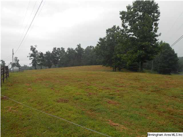 7015 Co Highway 24 Oneonta, AL 35121 - Photo 27 of 30