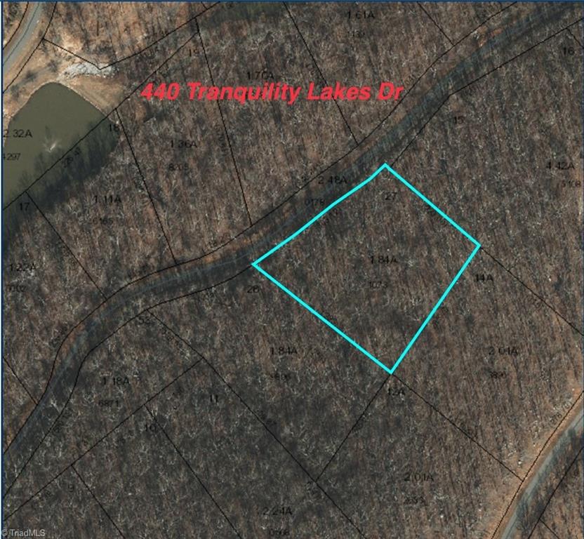 440 Tranquility Lakes Drive Denton, NC 27239 - Photo 3 of 10