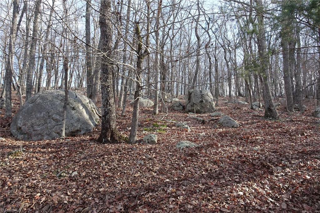 440 Tranquility Lakes Drive Denton, NC 27239 - Photo 4 of 10