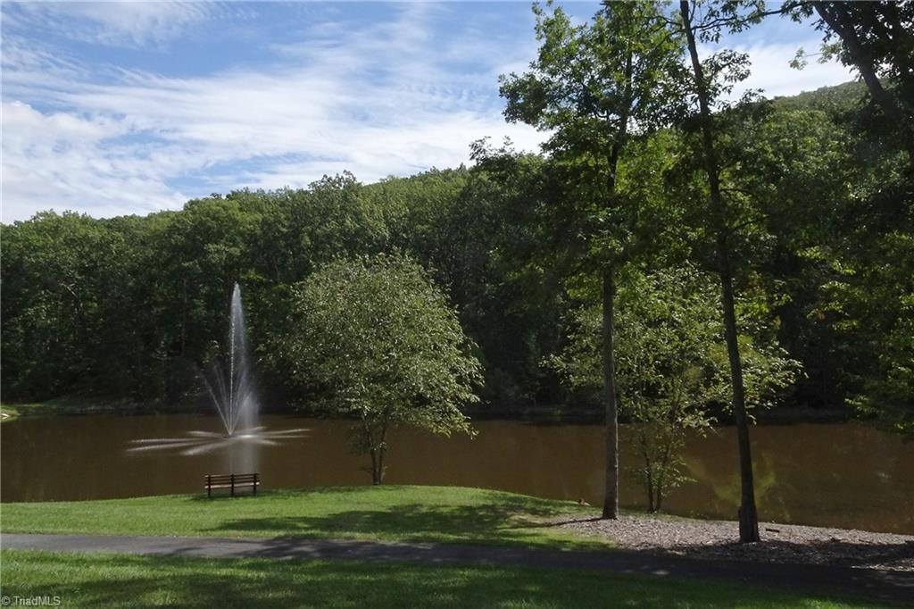 440 Tranquility Lakes Drive Denton, NC 27239 - Photo 9 of 10