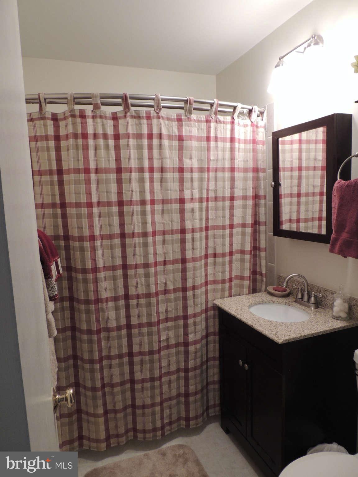 3795 Port Hope Point Triangle, VA 22172 - Photo 20 of 26 a bathroom with a sink shower and a mirror