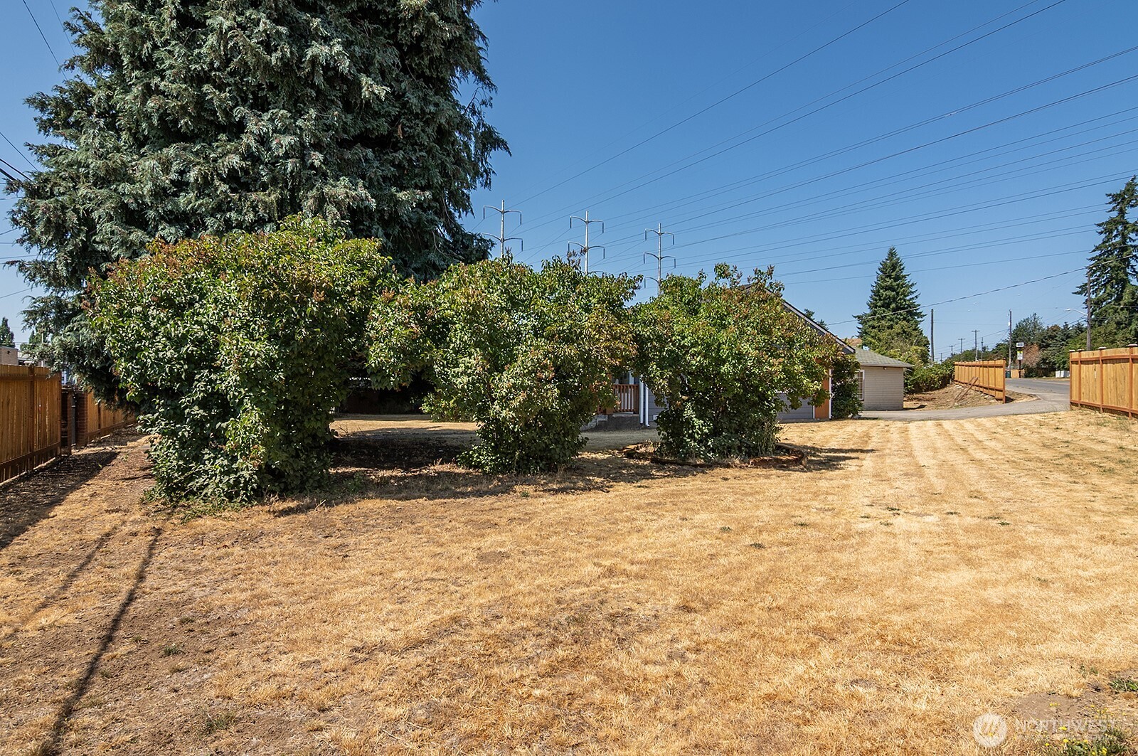 7660 South 126th Street Seattle, WA 98178 - Photo 9 of 33 a view of a yard with trees