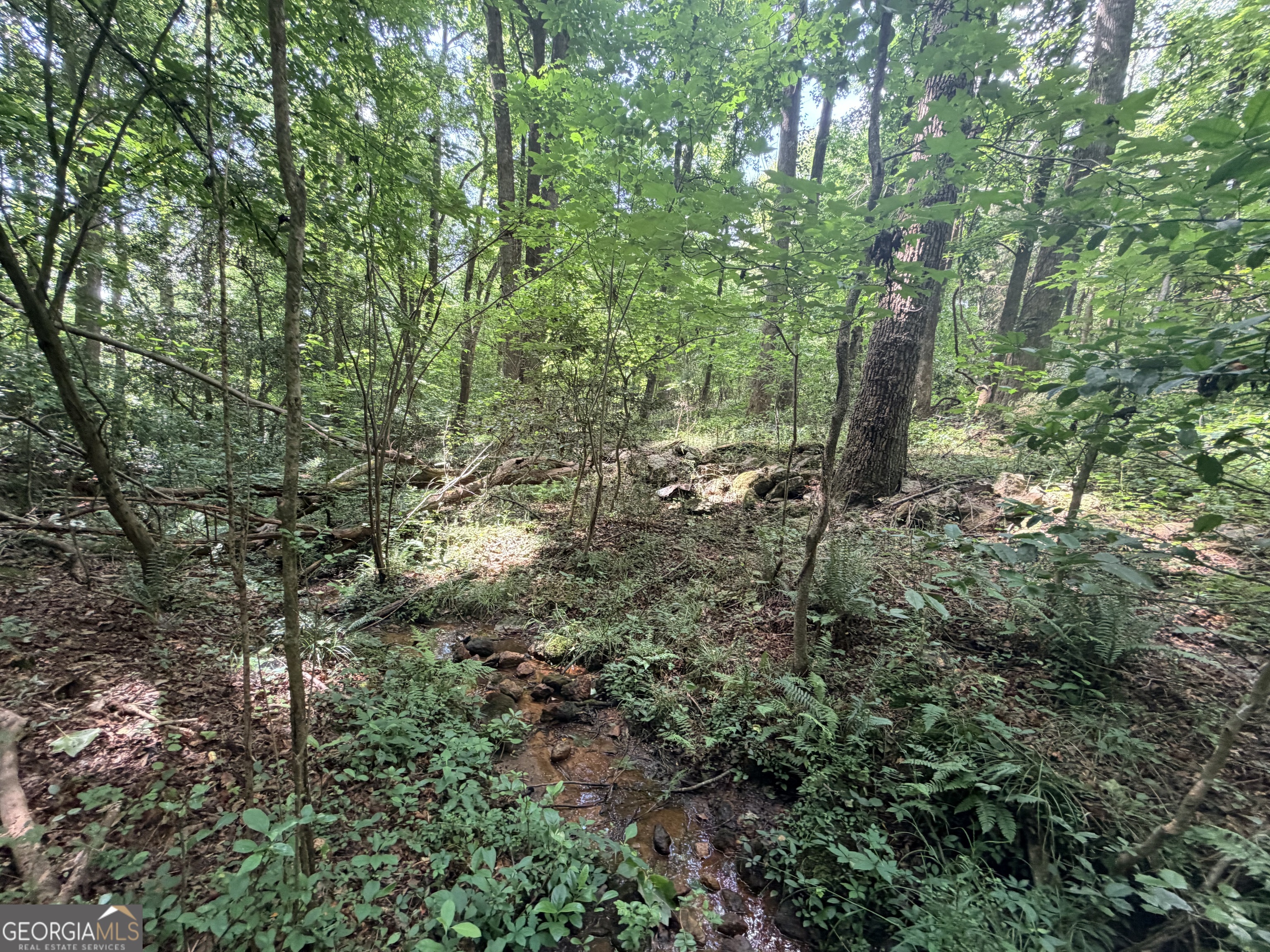 1590 James Adams Road Danielsville, GA 30633 - Photo 37 of 98