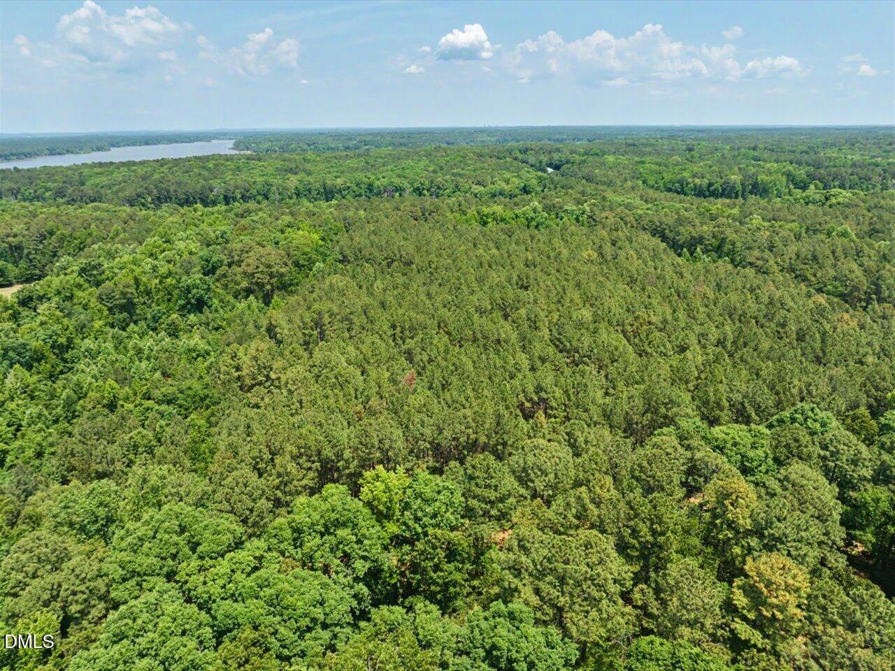Lot 2 Clyde Farrell Road Apex, NC 27523 - Photo 6 of 28