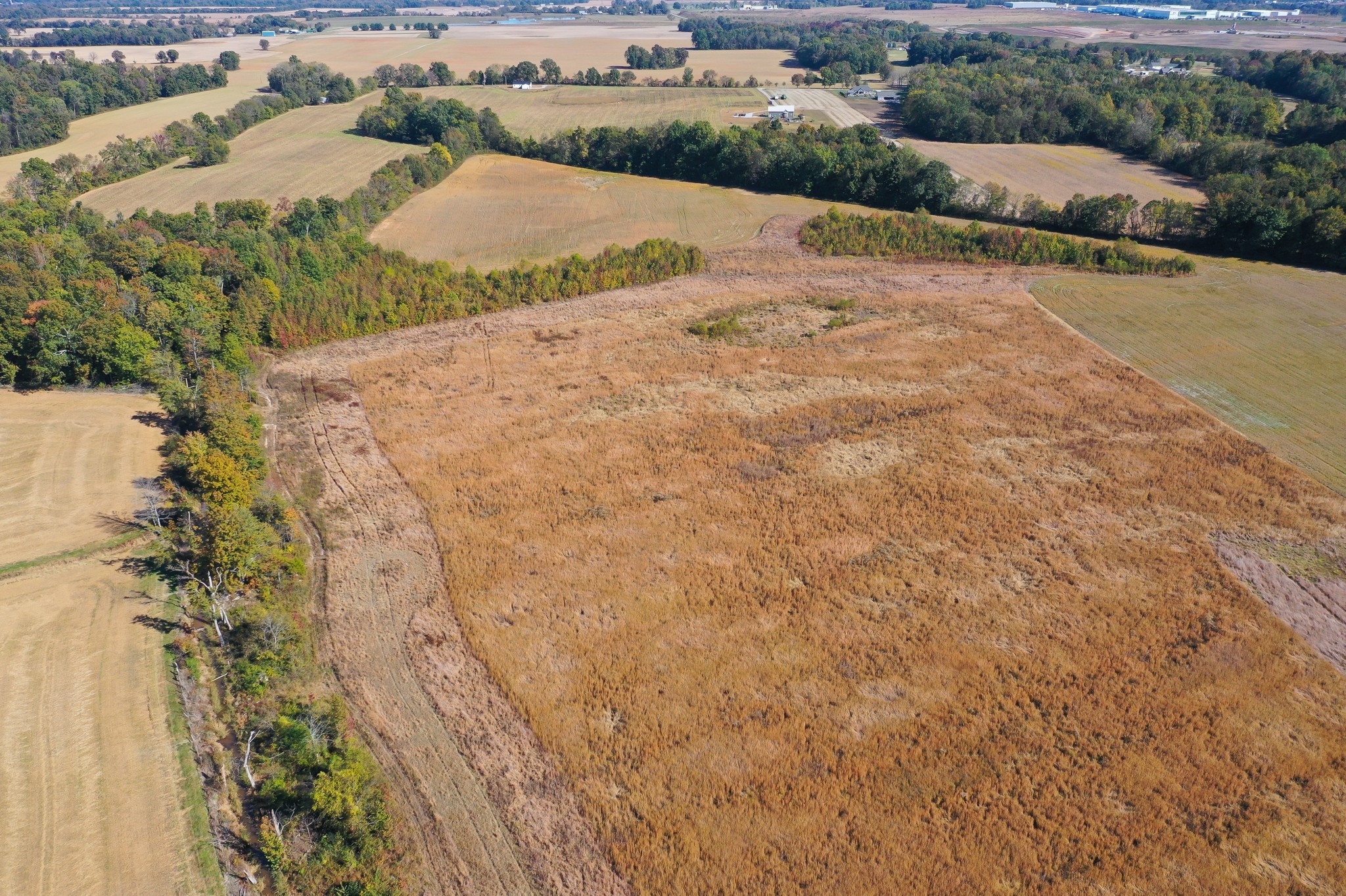0 Big Pond Road Trenton, KY 42286 - Photo 22 of 30 Gallery Image 22