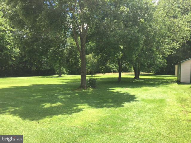 176 Razor Strap Road North East, MD 21901 - Photo 18 of 28 View- Back yard Wooded Surroundings