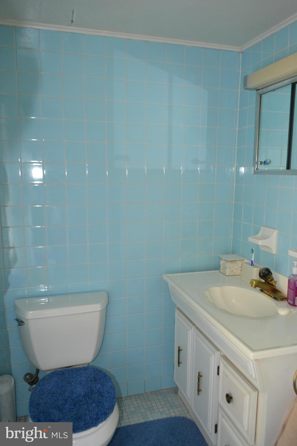 176 Razor Strap Road North East, MD 21901 - Photo 20 of 28 Another view of Full Bath Upper Level