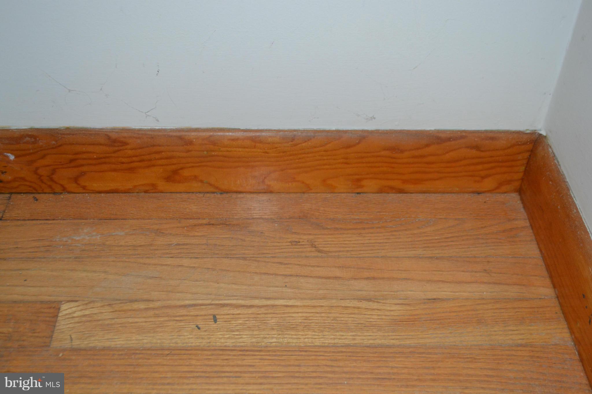 176 Razor Strap Road North East, MD 21901 - Photo 24 of 28 Lots Of Wood Flooring throughout
