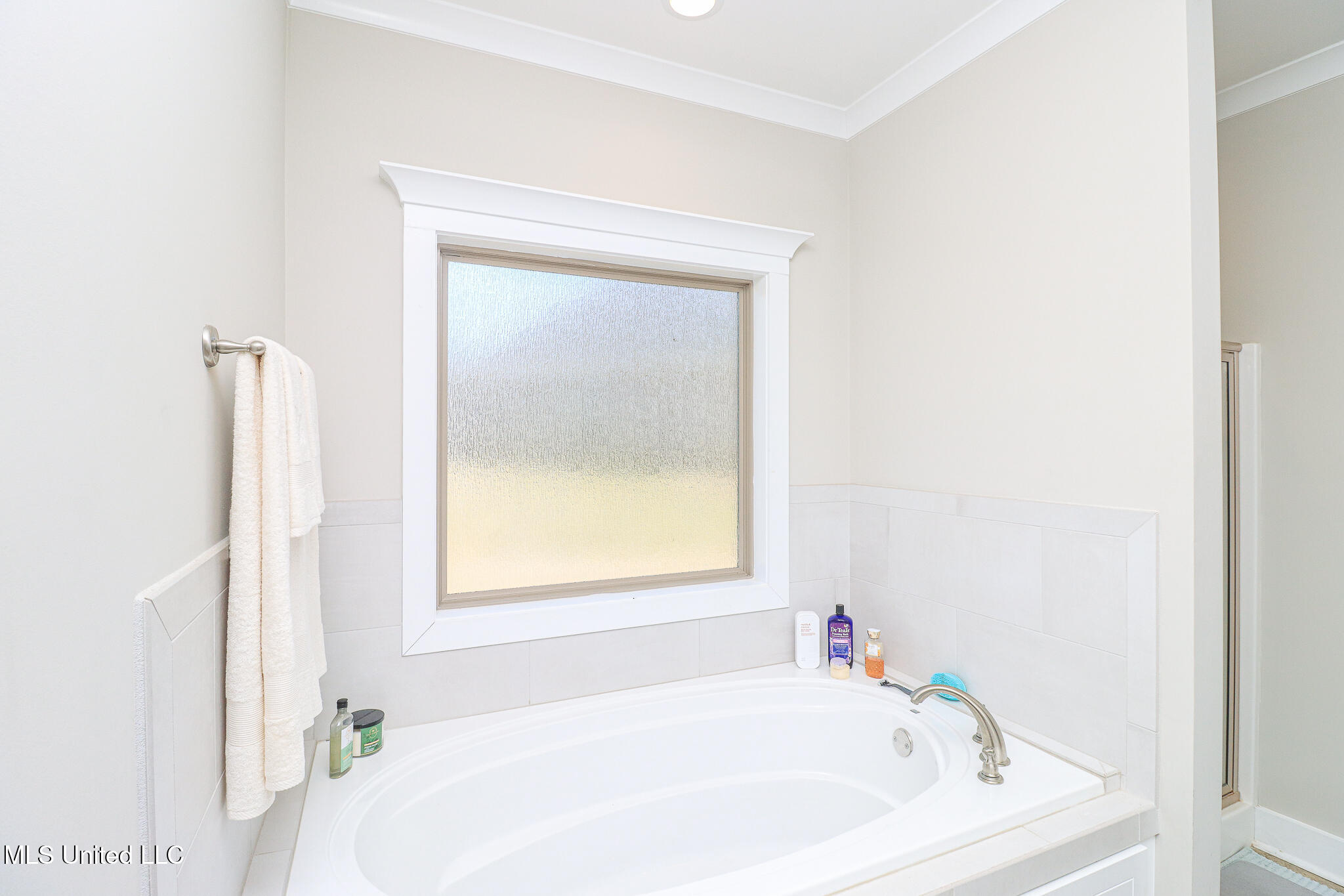 405 Elen Court Brandon, MS 39042 - Photo 26 of 59 405 Elen Ct 39