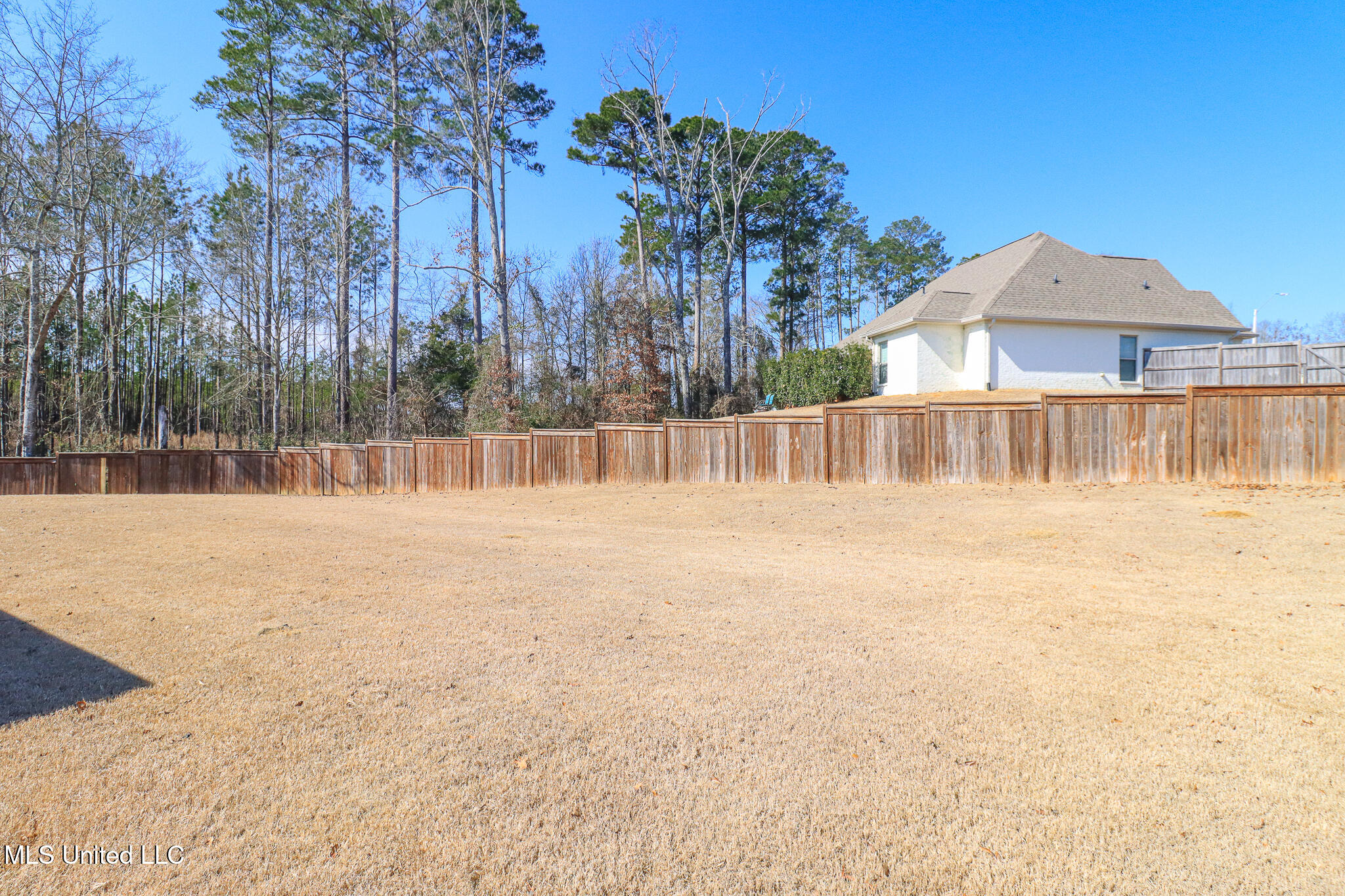 405 Elen Court Brandon, MS 39042 - Photo 4 of 59 405 Elen Ct 63