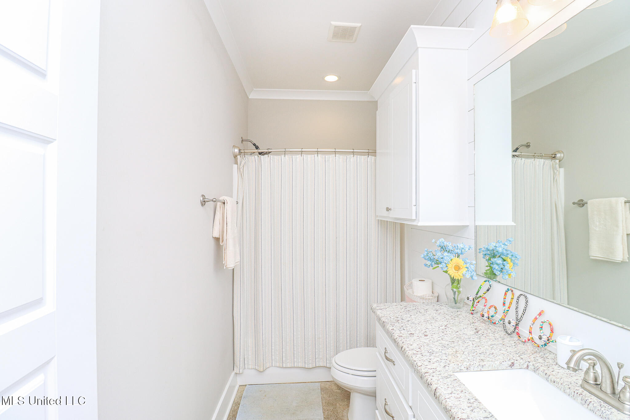 405 Elen Court Brandon, MS 39042 - Photo 46 of 59 405 Elen Ct 17