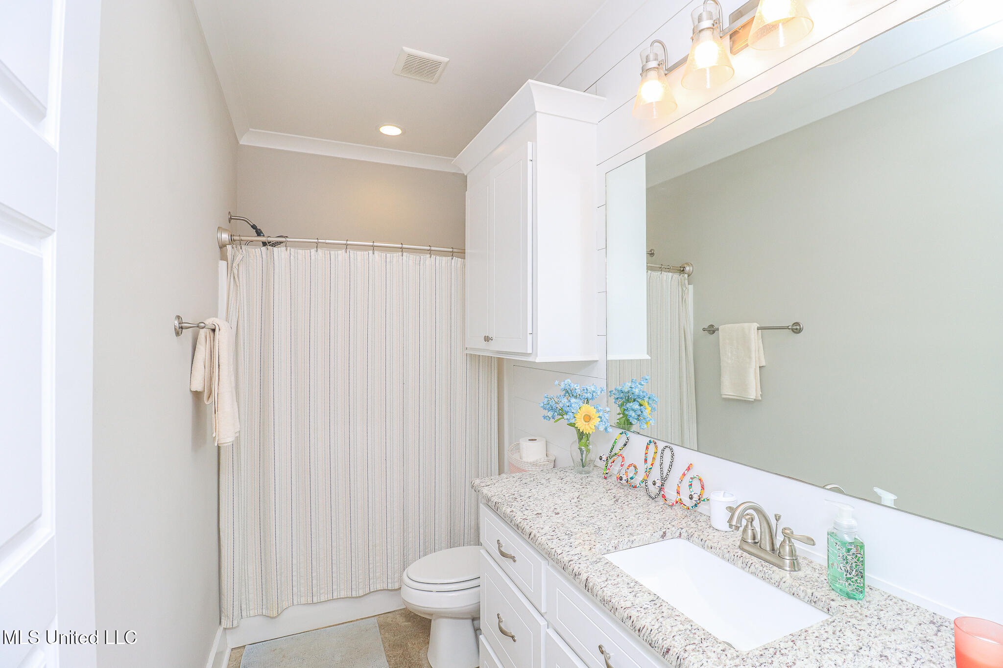 405 Elen Court Brandon, MS 39042 - Photo 47 of 59 405 Elen Ct 16