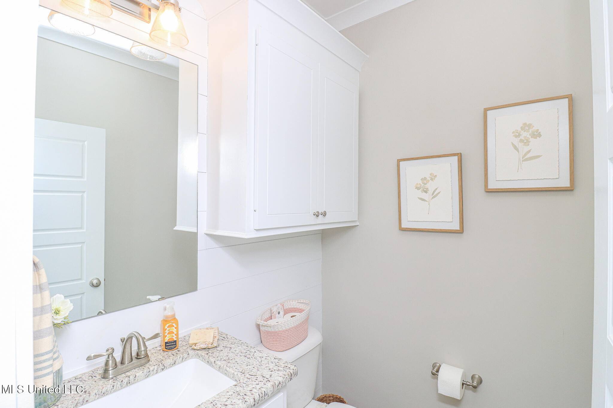 405 Elen Court Brandon, MS 39042 - Photo 53 of 59 405 Elen Ct 9