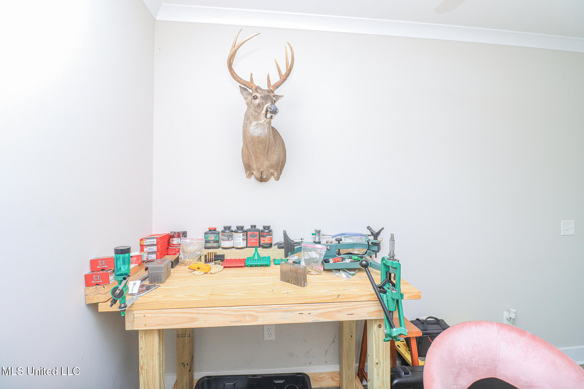 405 Elen Court Brandon, MS 39042 - Photo 55 of 59 405 Elen Ct 8