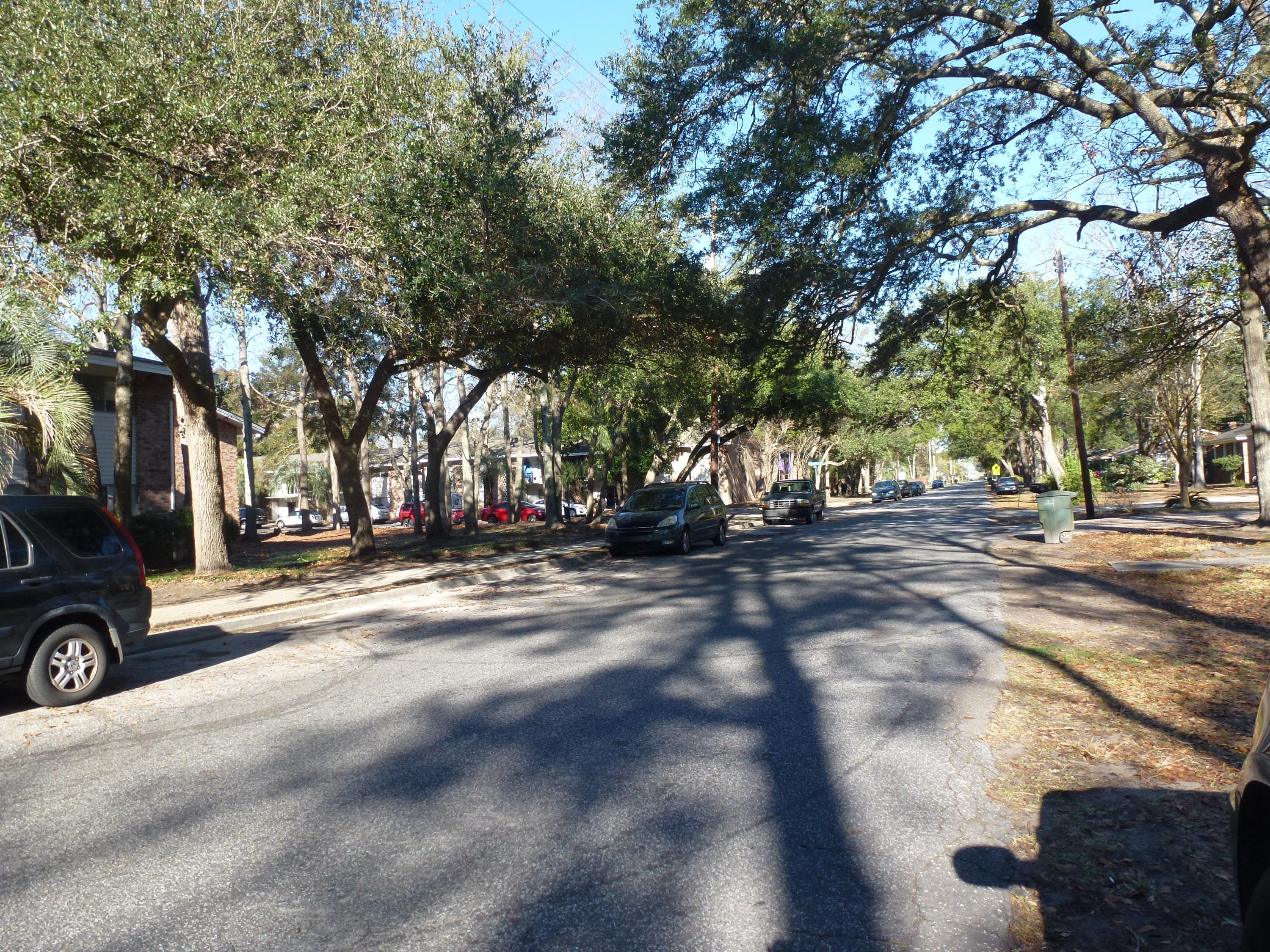1216 Orange Branch Road Charleston, SC 29407 - Photo 17 of 17 P1010543