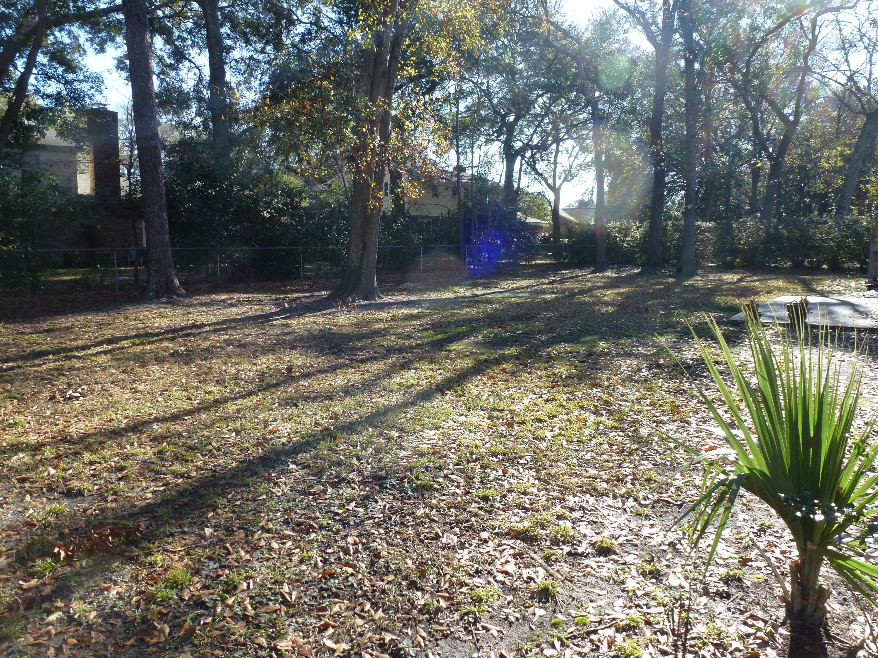 1216 Orange Branch Road Charleston, SC 29407 - Photo 4 of 17 P1010564
