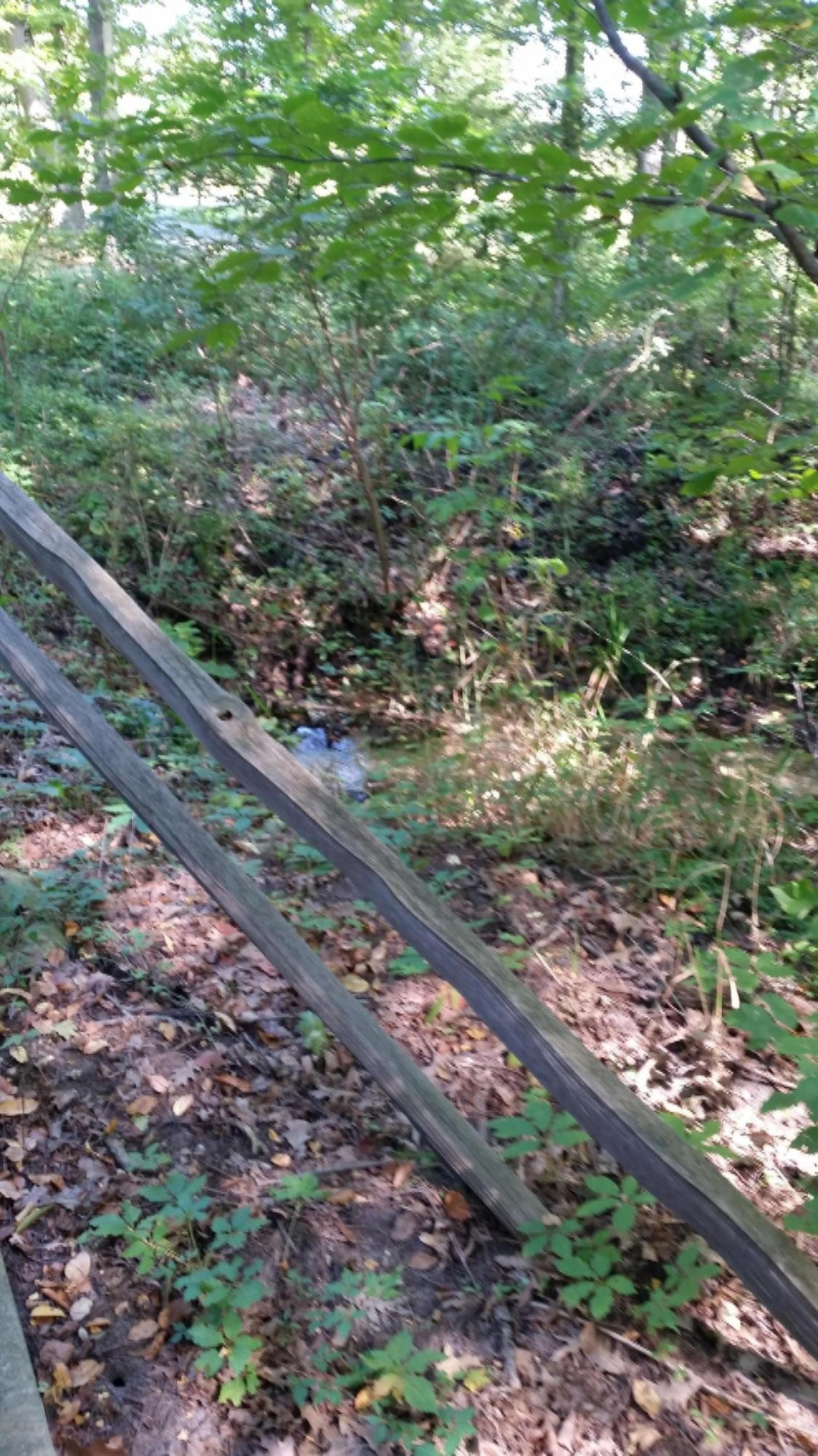 20150910_120255[1]