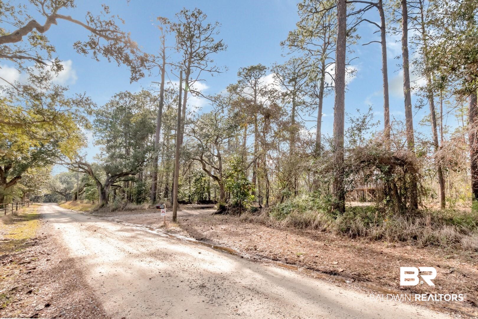 5250 Lossing Road Coden, AL 36523 - Photo 1 of 4 View of street