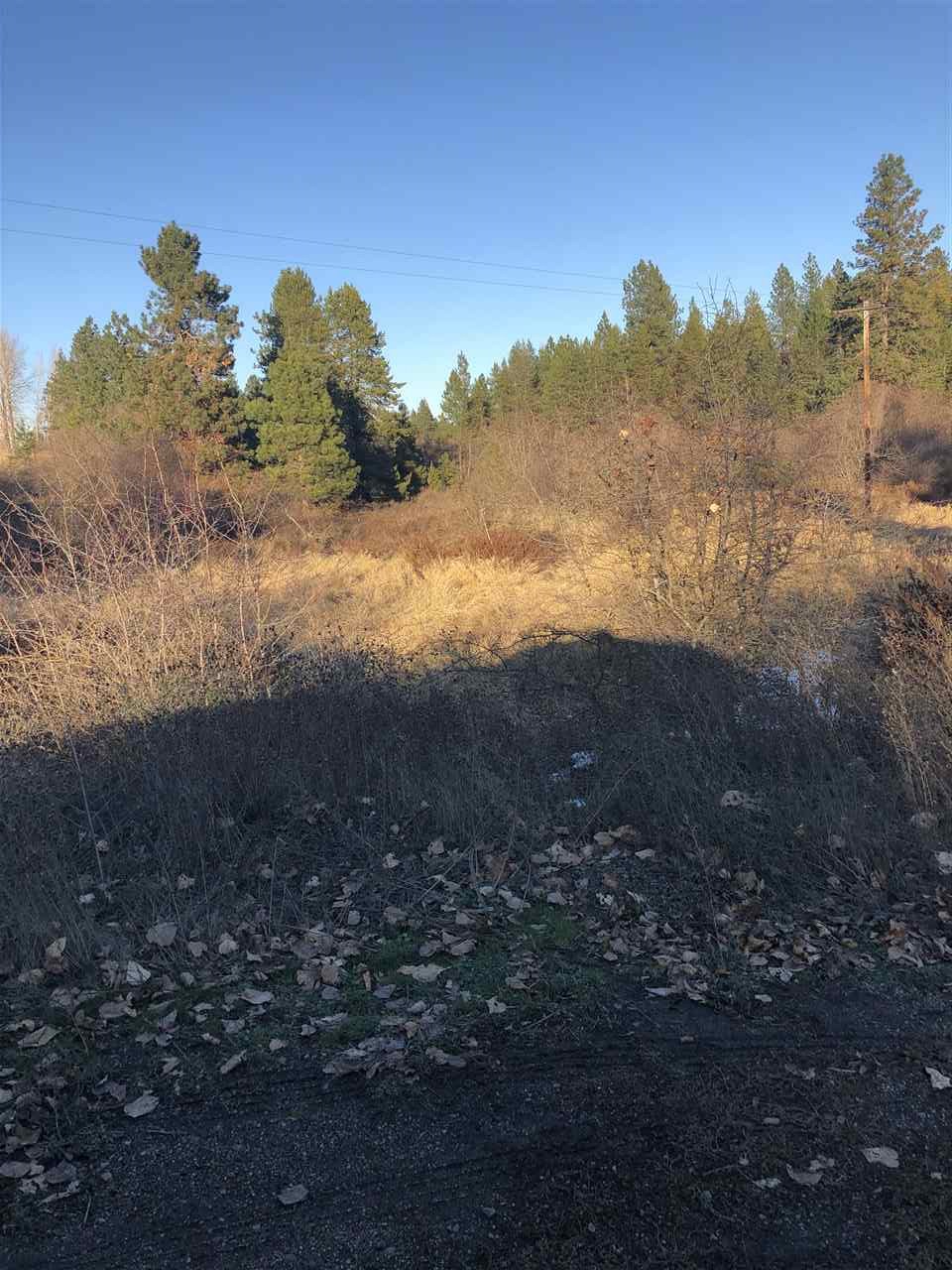 Tbd West Bridges Road Deer Park, WA 99006 - Photo 1 of 2 Gallery Image 1