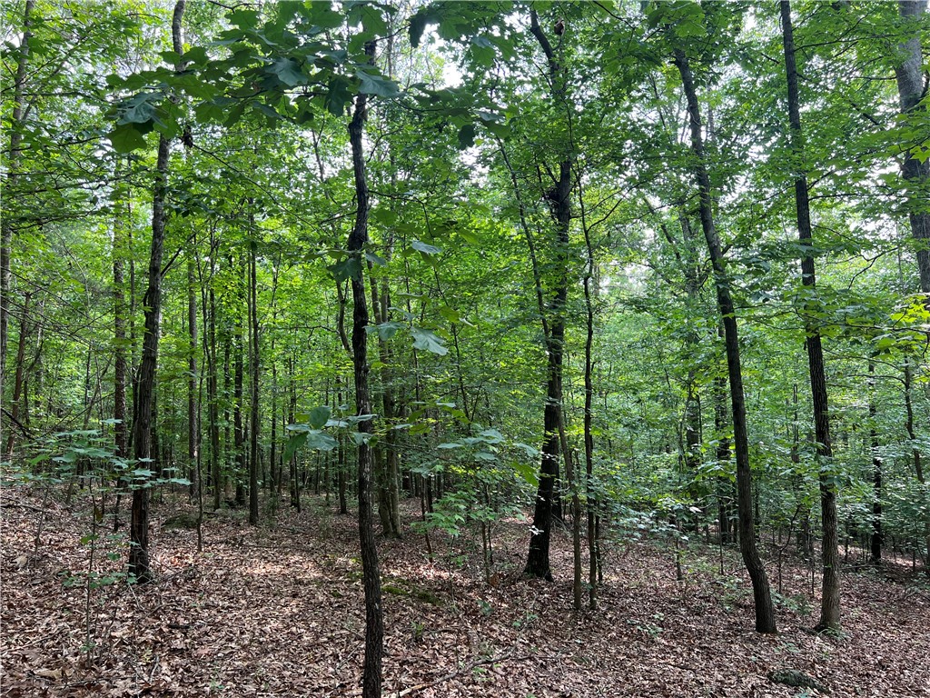 0 Cann Road Anderson, SC 29625 - Photo 11 of 27 Gallery Image 11